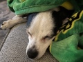 nap_time