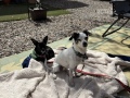 campground