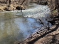 cottonwood_hike