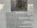 javelina_info