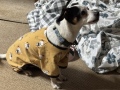 quinns_pjs