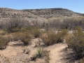 rv_park_trails-2