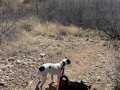 rv_park_trails