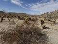 salome_trail_ride-2