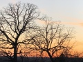 ozark_sunset