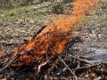 burn_pile