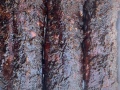 bacon_jam_ribs