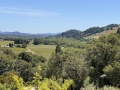 santa_rosa