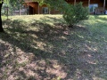 weedeating