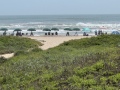 spi