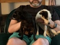 pups