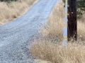 IMG_6590