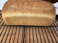 sandwich_bread
