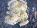 grilled_chicken