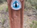 PCT_marker