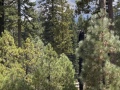 lassen_state_park