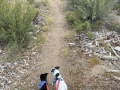 trail_dogs