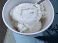 vanilla_bean