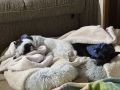 worn_out