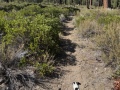 pct_miles