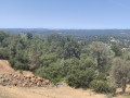 aukum_winery