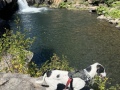 cliff_diver