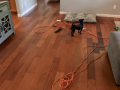 backup-power
