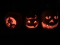 pumpkins2