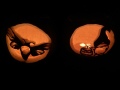 pumpkins6