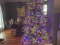 christmas_tree_22