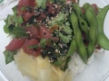 not_fancy_poke