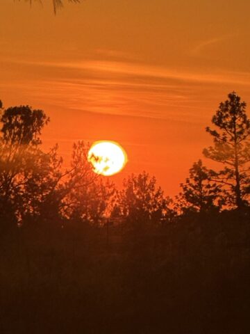 A nice sunset after the concert.