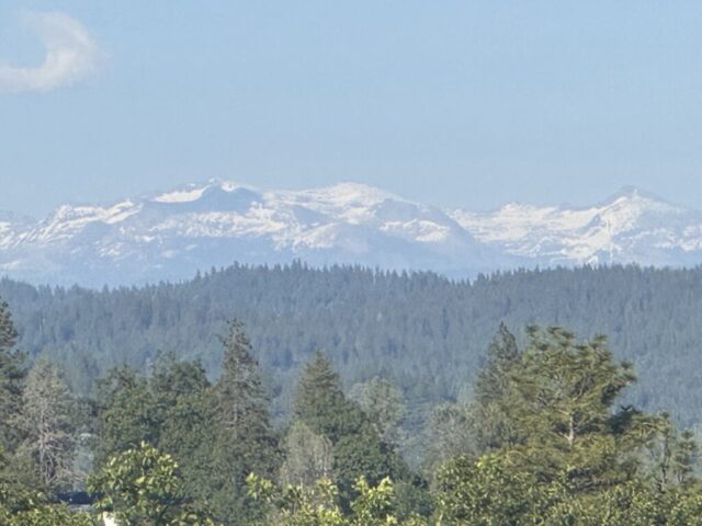 Nice view of the Sierra range from the winery. Should be a lot more snow though.