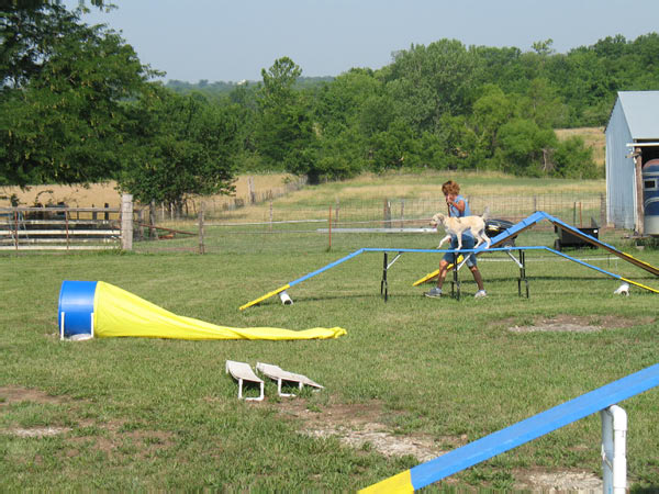 Cornhole Tourney July 06 090