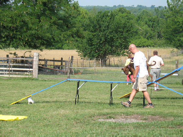 Cornhole Tourney July 06 094