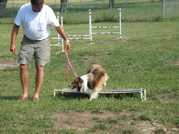 Cornhole Tourney July 06 098