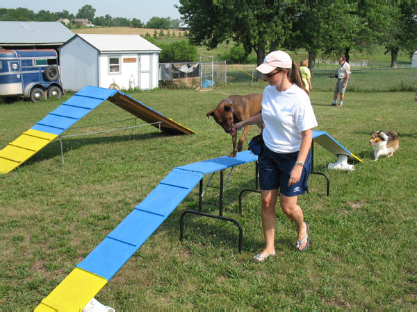 Cornhole Tourney July 06 113