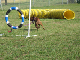 Cornhole Tourney July 06 083