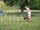 Cornhole Tourney July 06 084