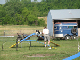 Cornhole Tourney July 06 086