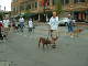 Dog & Jog '06 018