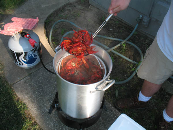 seafood boil 023